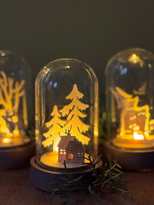 Snowglobe, Small