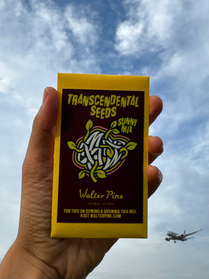 Transcendental Seeds 2026