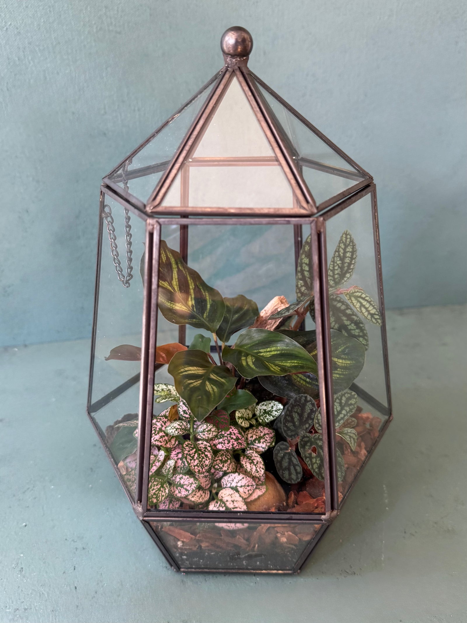 Elegant Terrarium