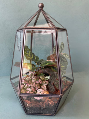 Elegant Terrarium