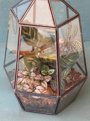 Elegant Terrarium