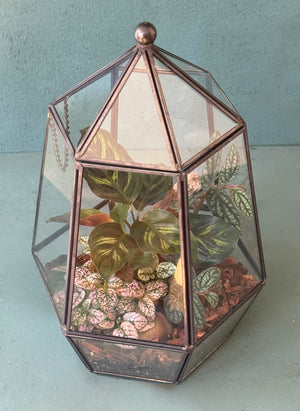 Elegant Terrarium