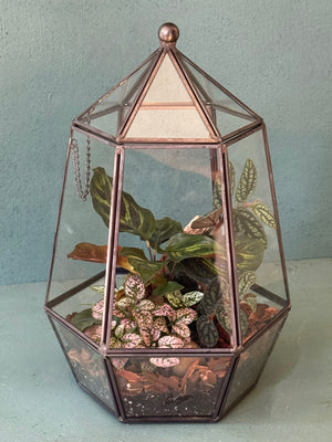 Elegant Terrarium