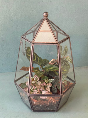 Elegant Terrarium