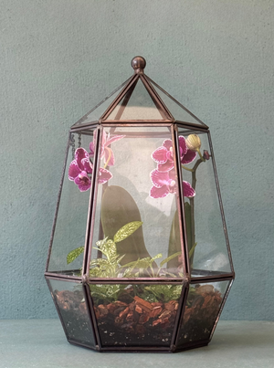 Orchid Terrarium