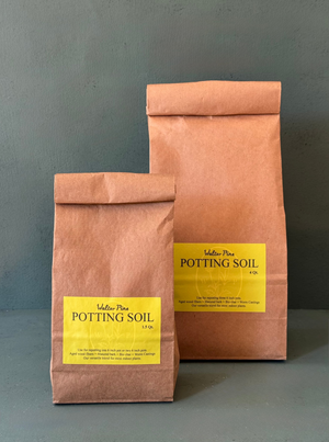 Walter Pine Soil