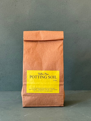 Walter Pine Soil