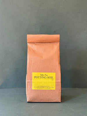 Walter Pine Soil