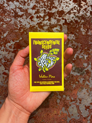 Transcendental Seeds 2026