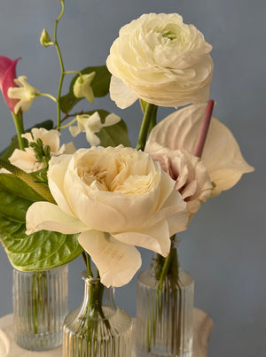 Elegant Botanical Bud Vase Trio