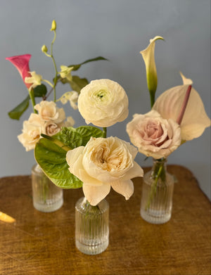 Elegant Botanical Bud Vase Trio