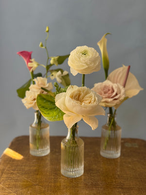 Elegant Botanical Bud Vase Trio