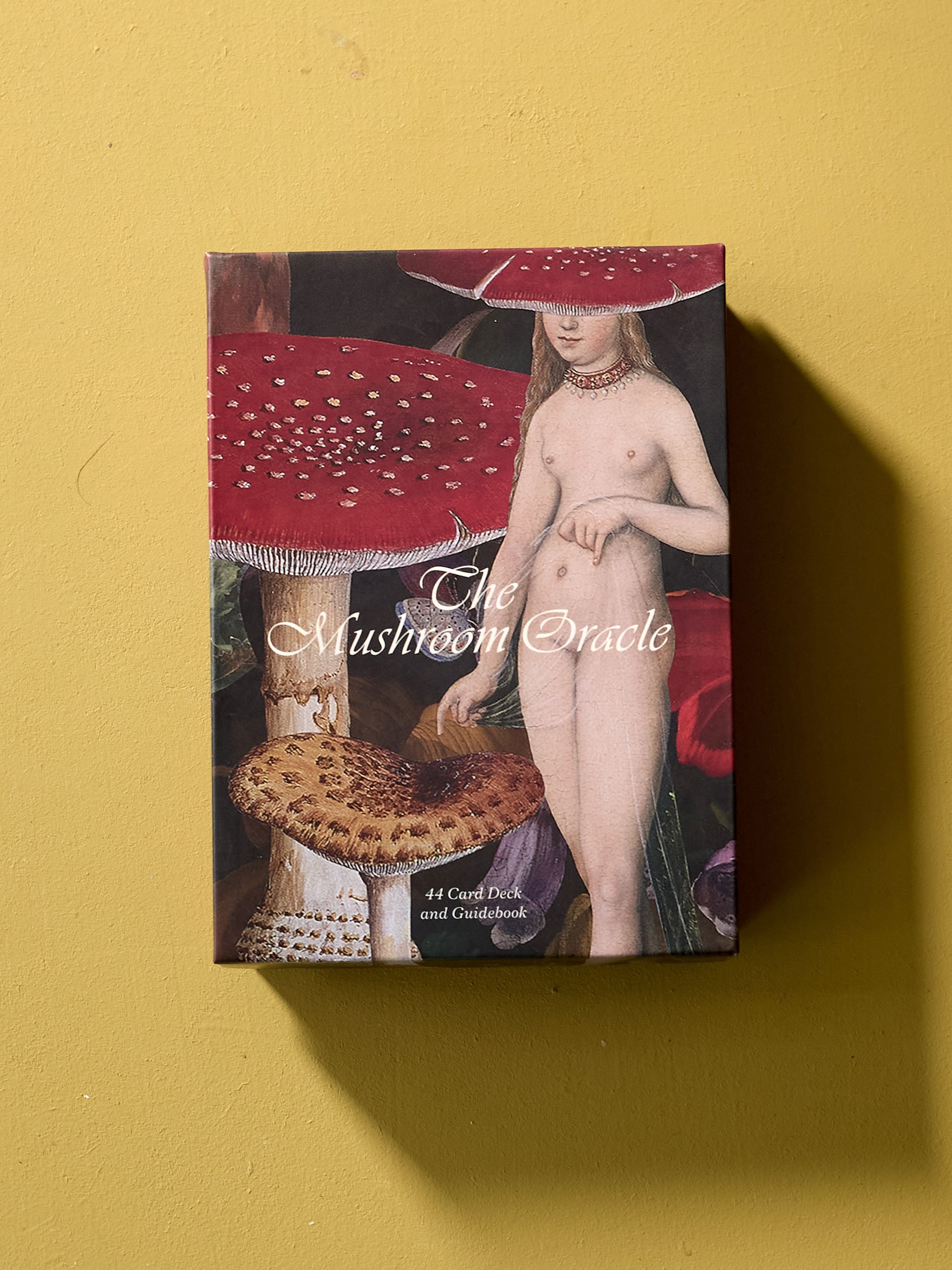 Mushroom Oracle Deck