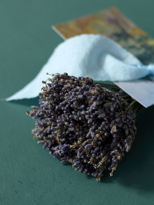 Landscape Lavender Bundle, Petite