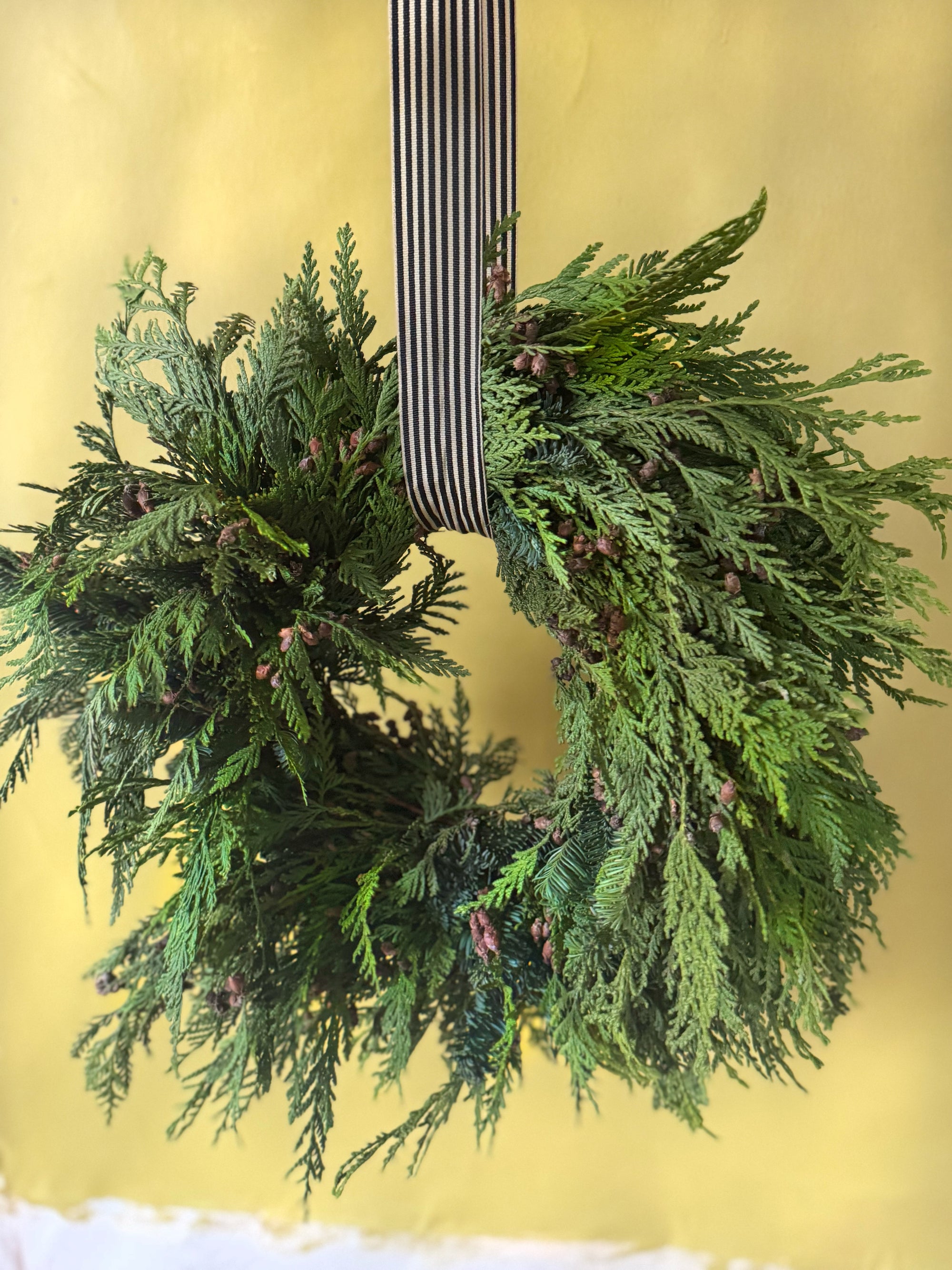 Walter Pine Classic Wreath 2025