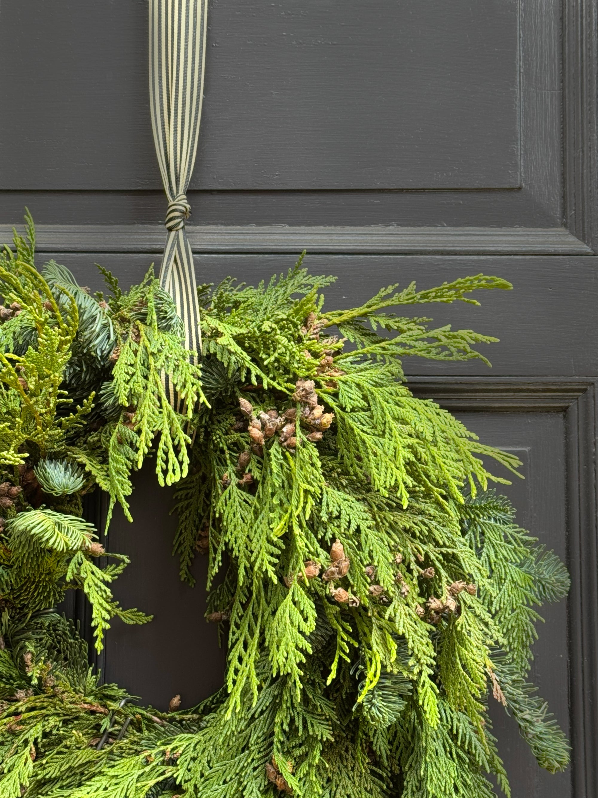 Walter Pine Classic Wreath 2025