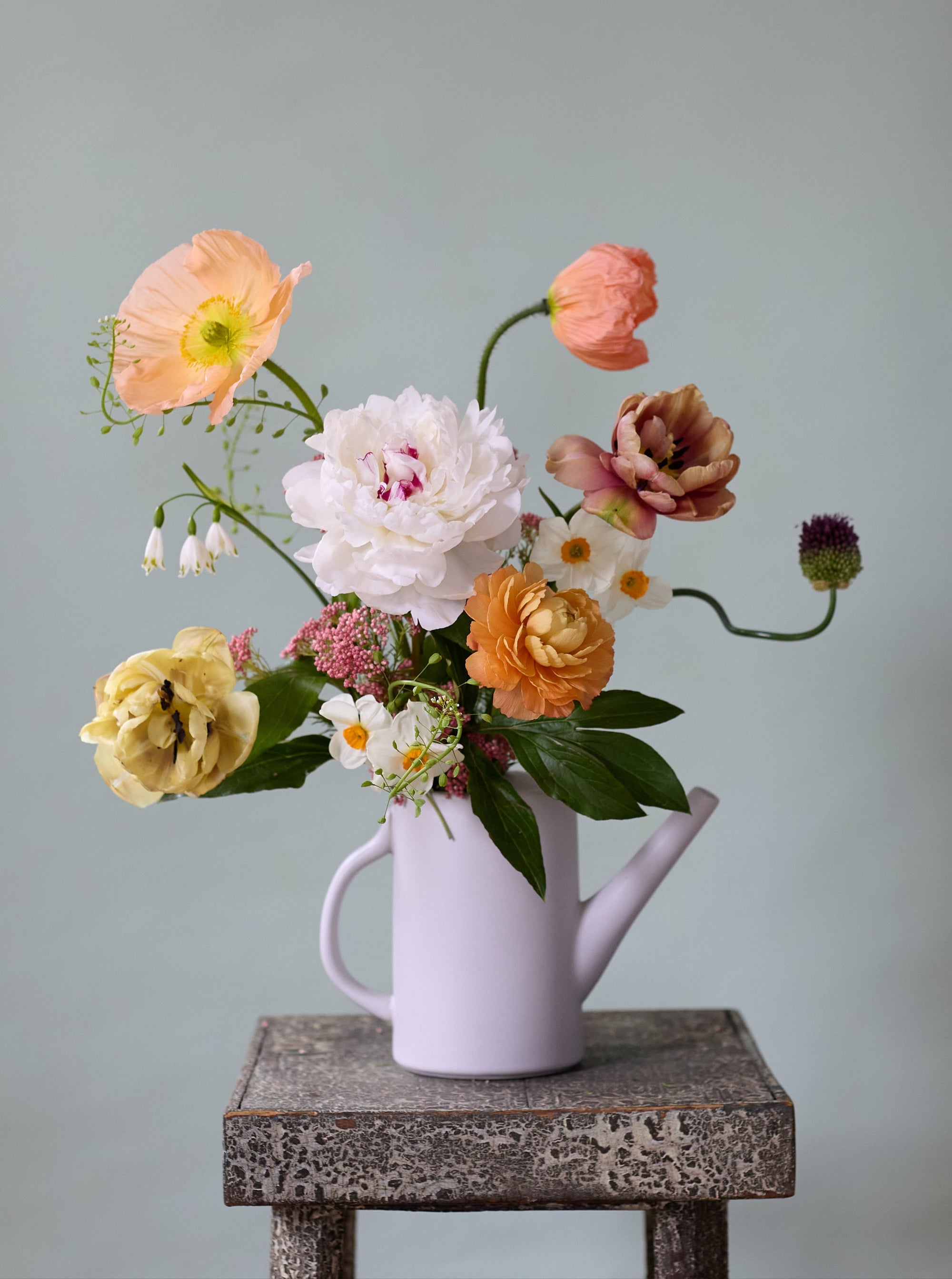 Chloe Watering Can