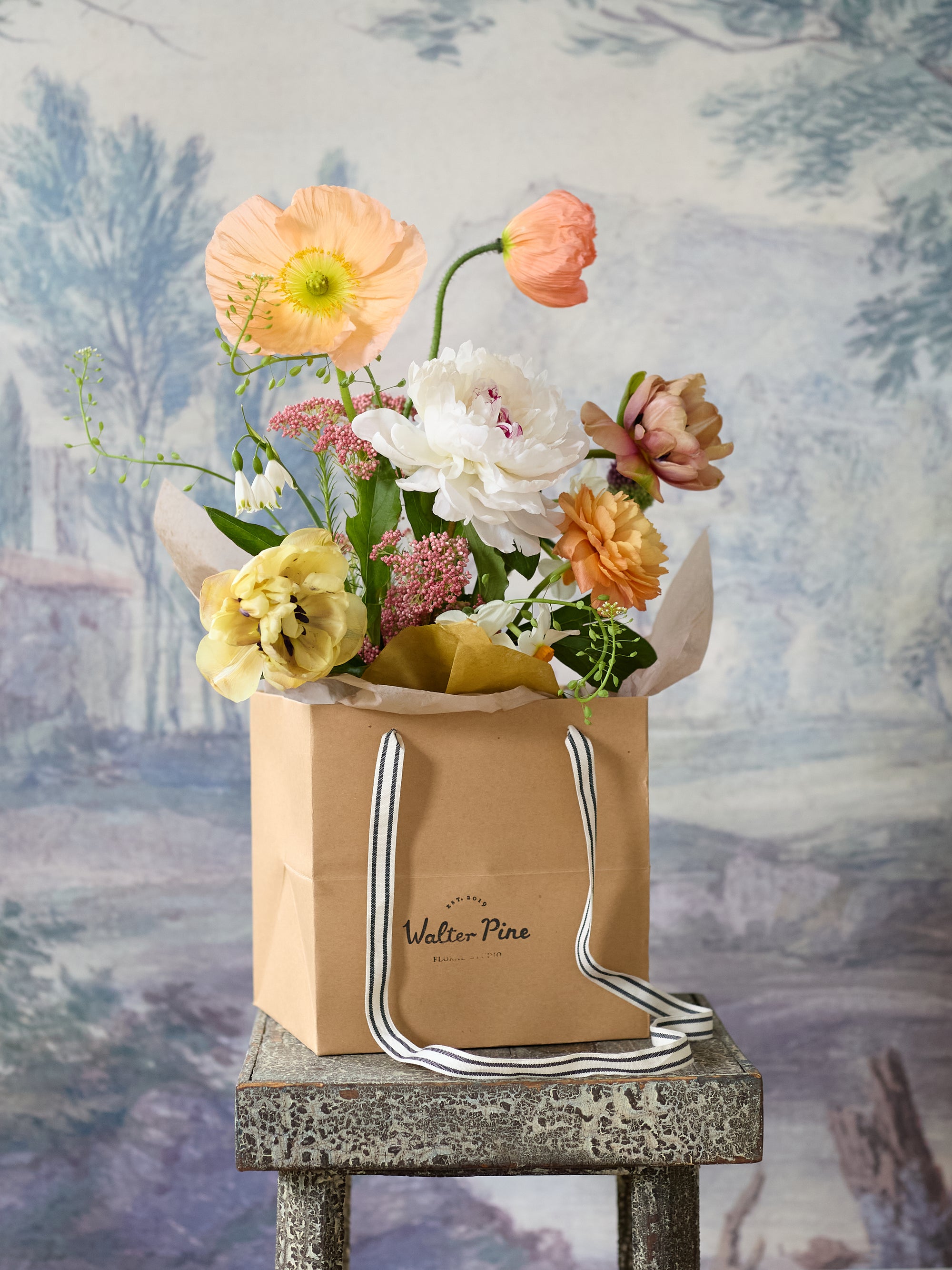 Chloe Watering Can