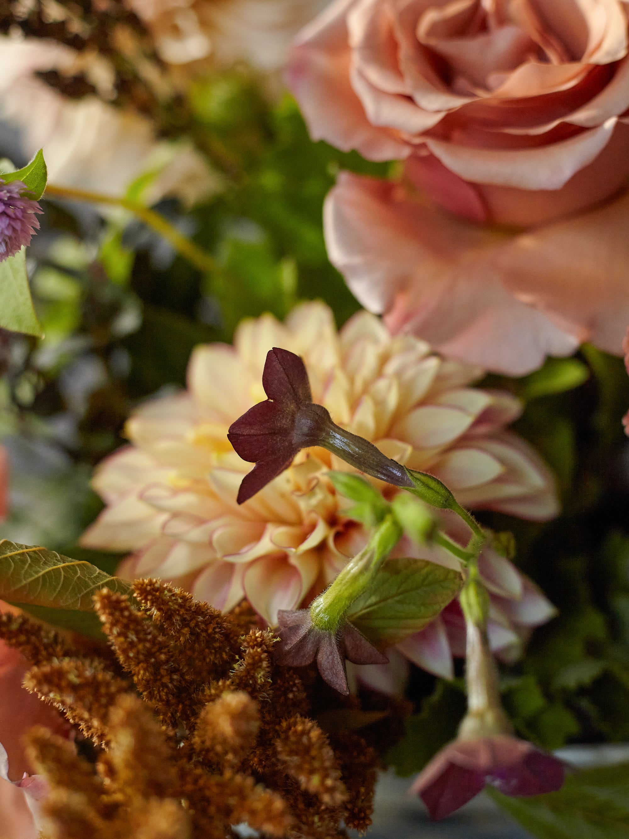 Thanksgiving Ferme Centerpiece