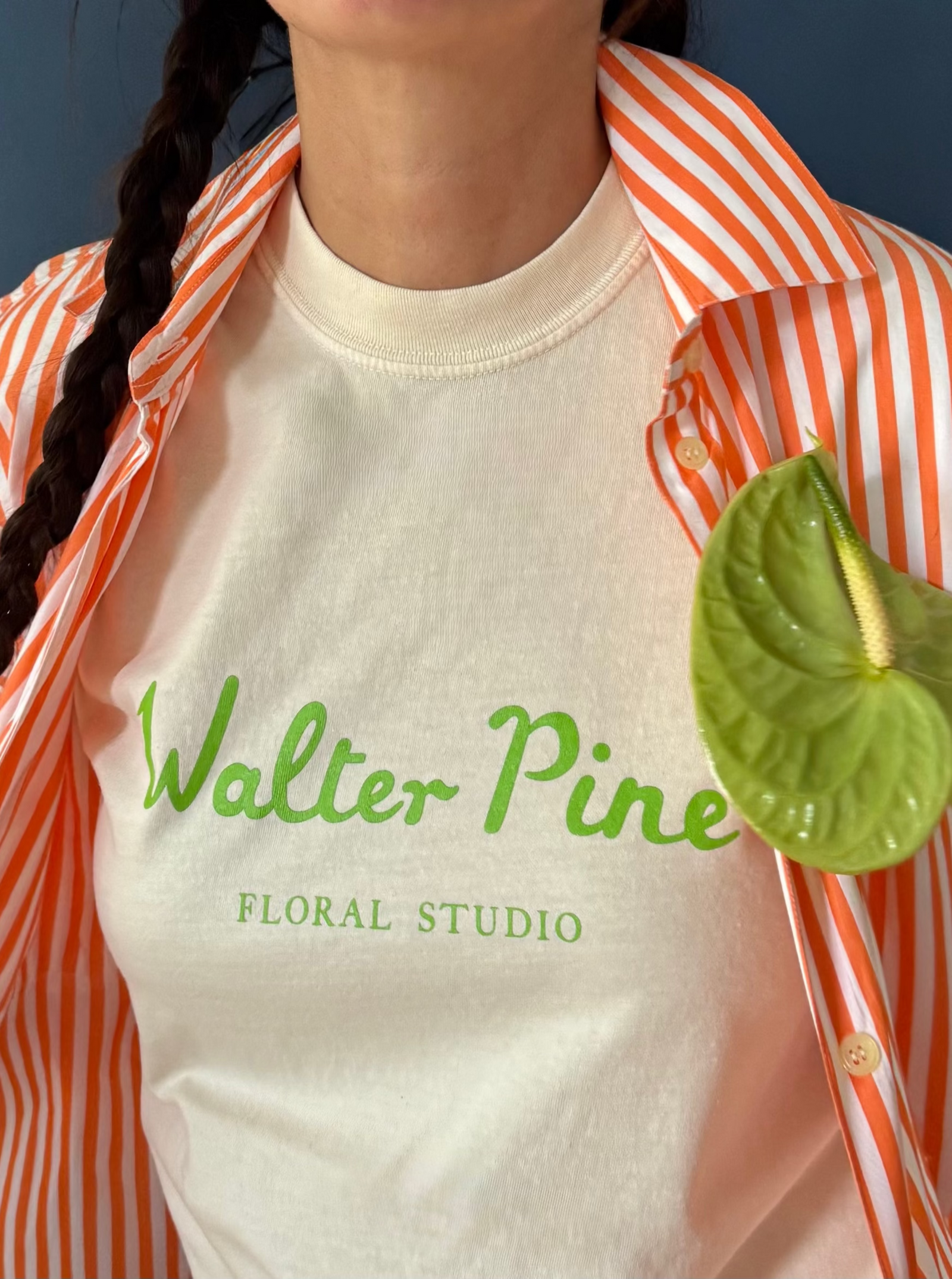 Walter Pine Tee, Ivory