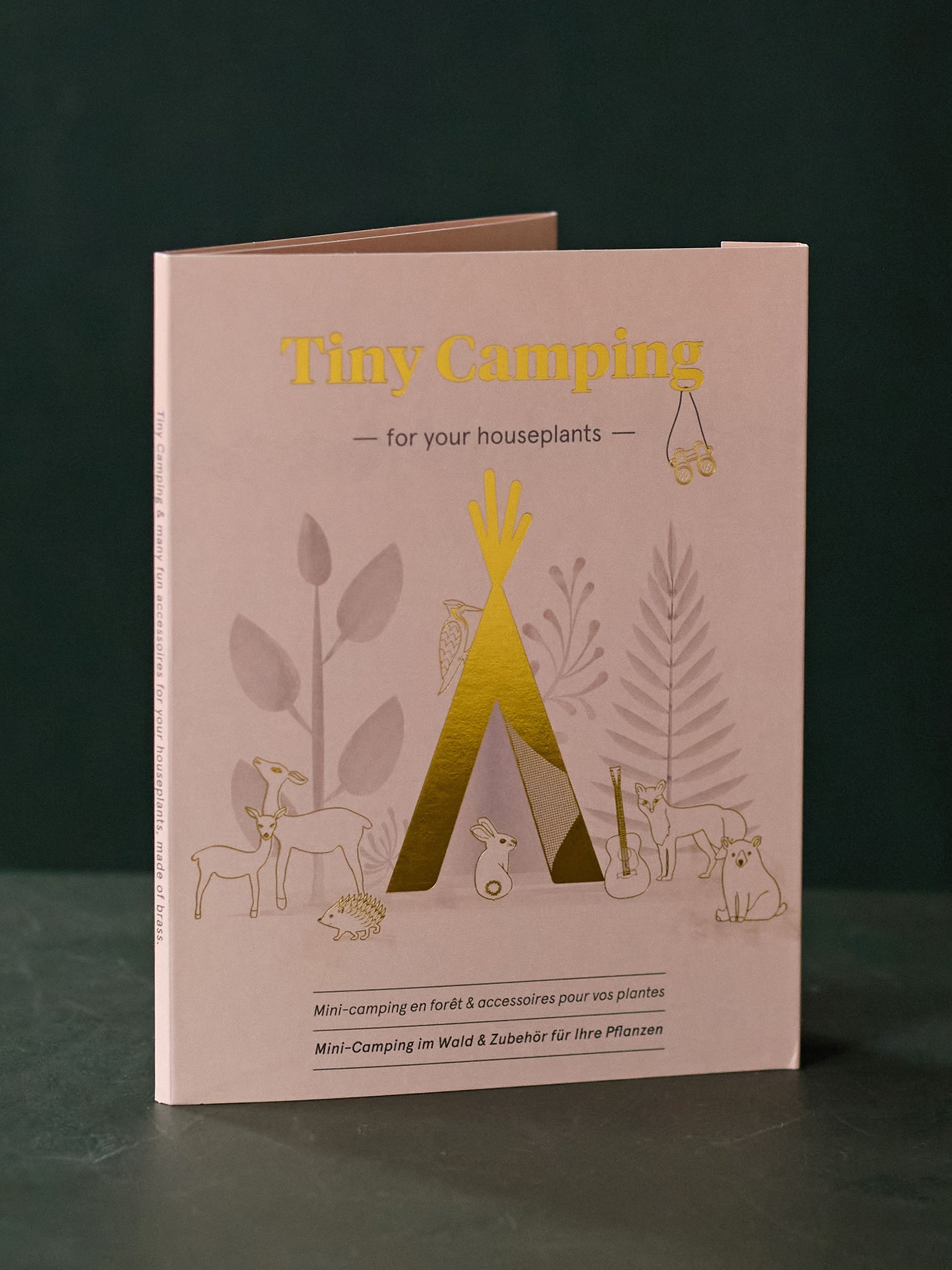 Tiny Camping Set