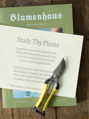 Blumenhaus Magazine, Issue #5