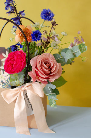 The Jasmine Bundle