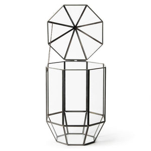 Elegant Terrarium