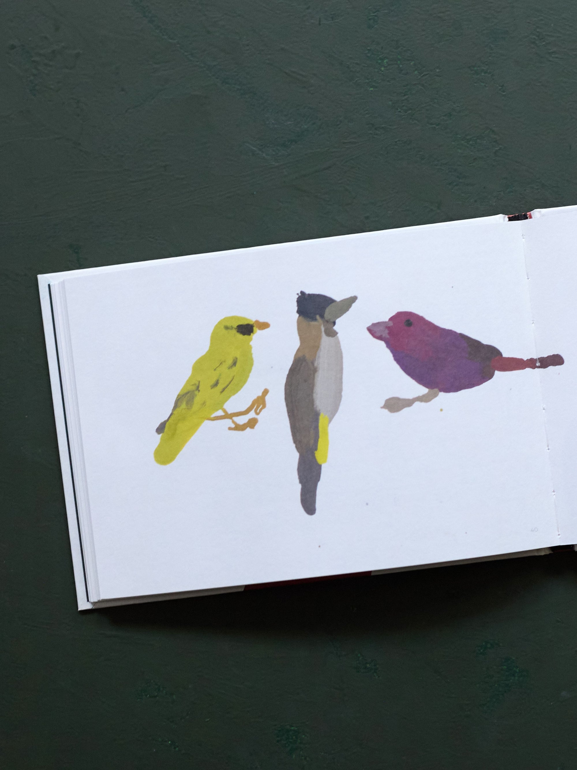 A Book of Birds