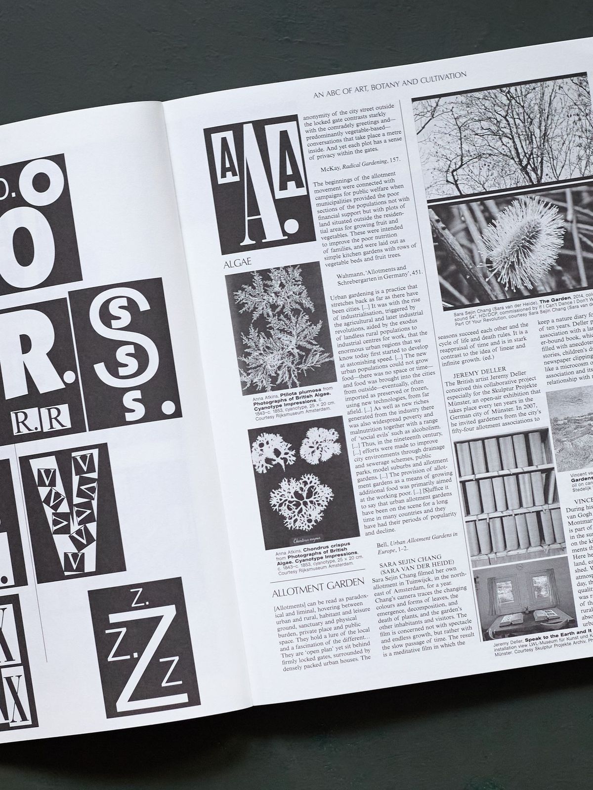 On The Necessity of Gardening: An ABC of Art, Botany & Cultivation