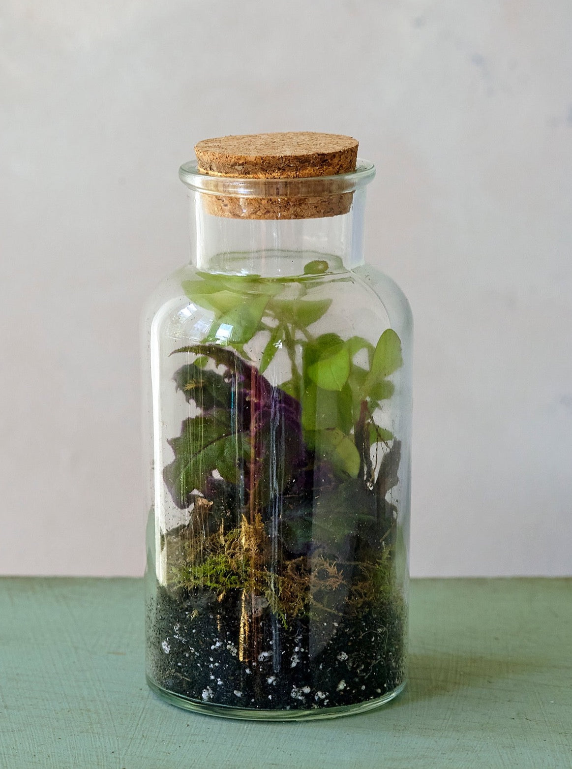 Forest Floor Terrariums