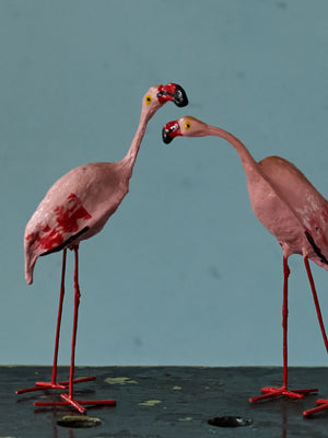 Seedpod Flamingo