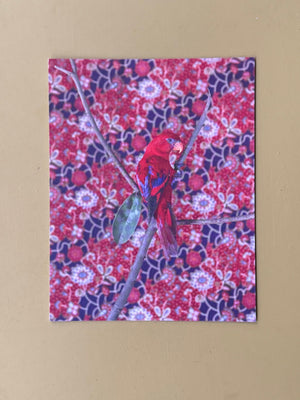 Birds of a Feather Postcard