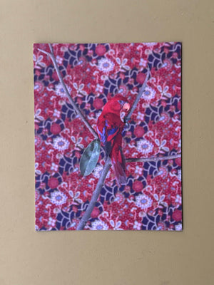 Birds of a Feather Postcard