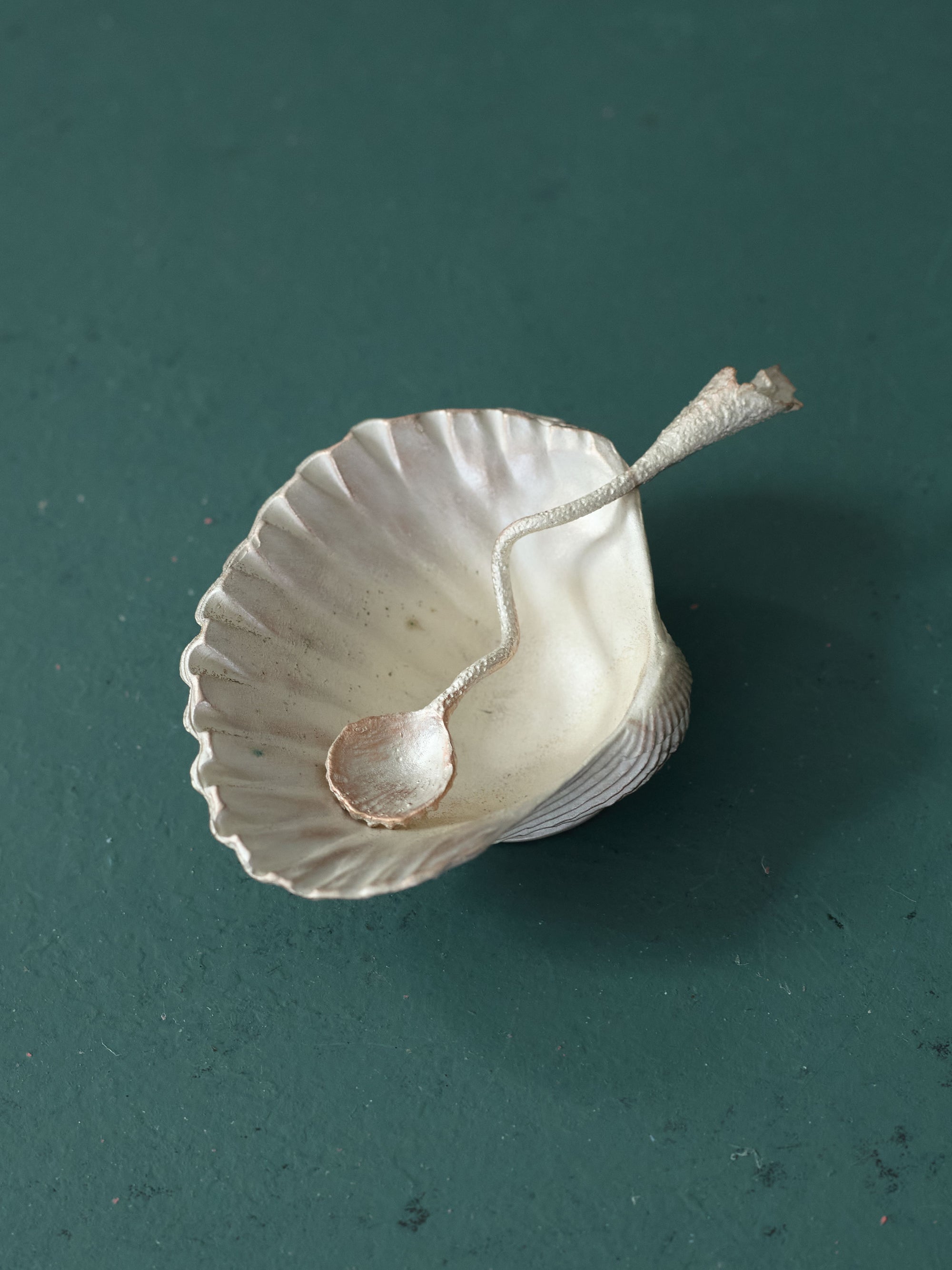 Sea Shell Salt Dish