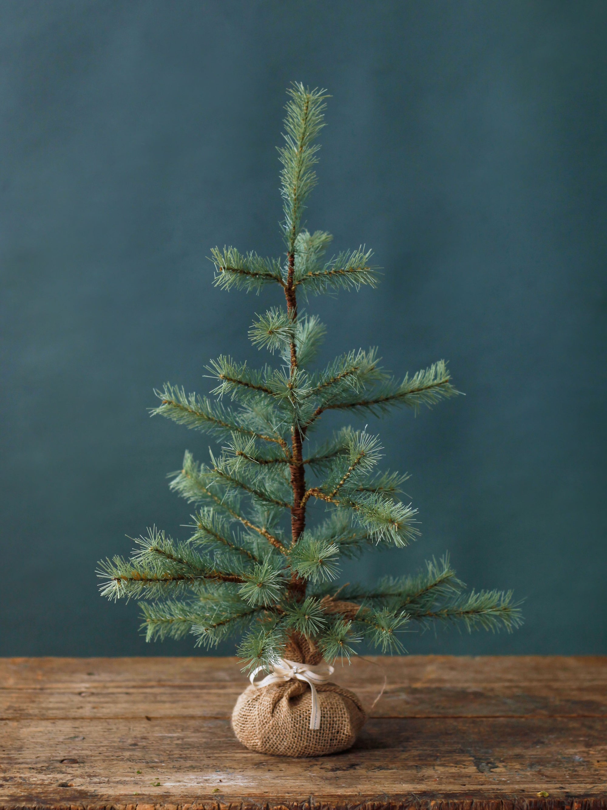 Faux Foxtail Pine Tree