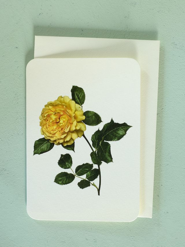 Yellow Rose Card