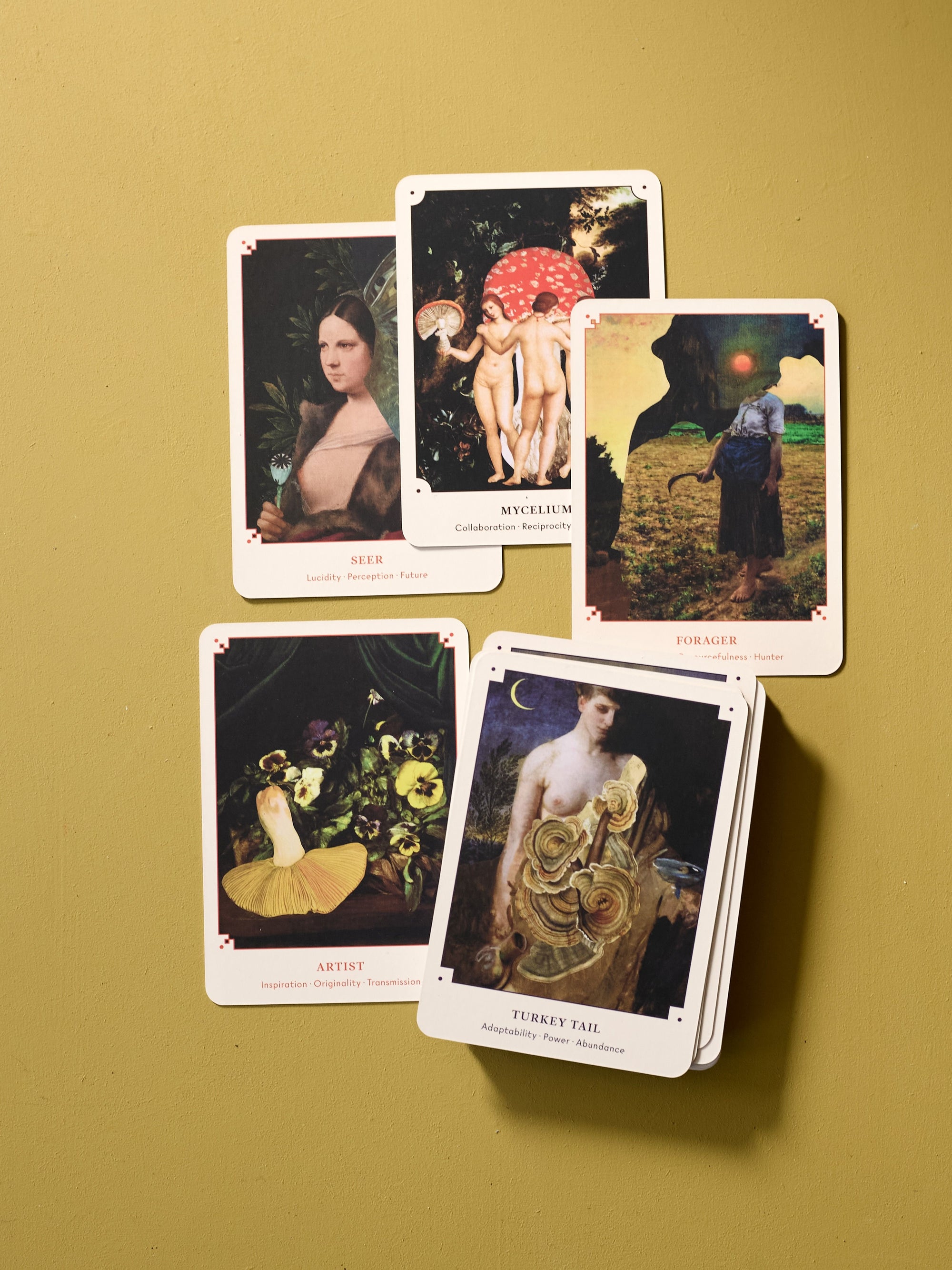 Mushroom Oracle Deck