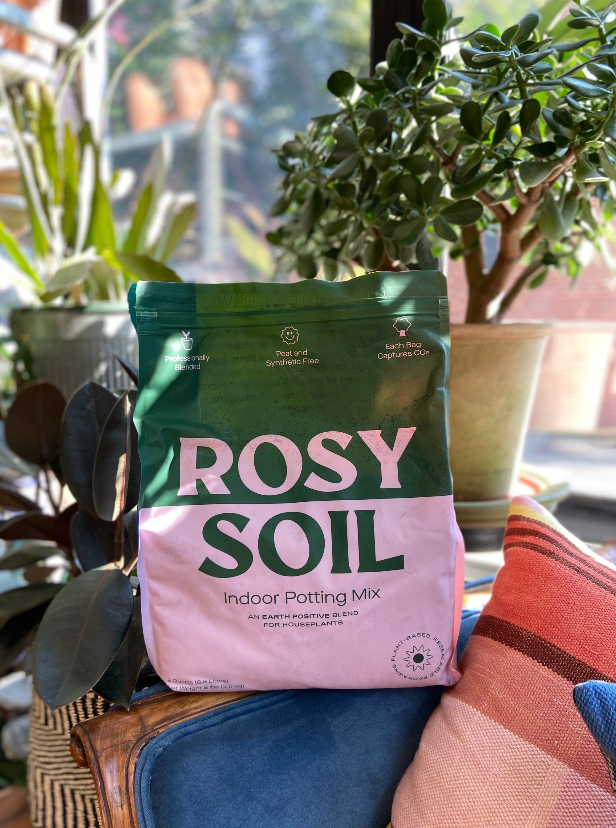 Rosy Indoor Potting Mix