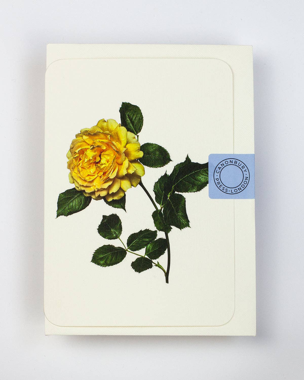 Yellow Rose Card