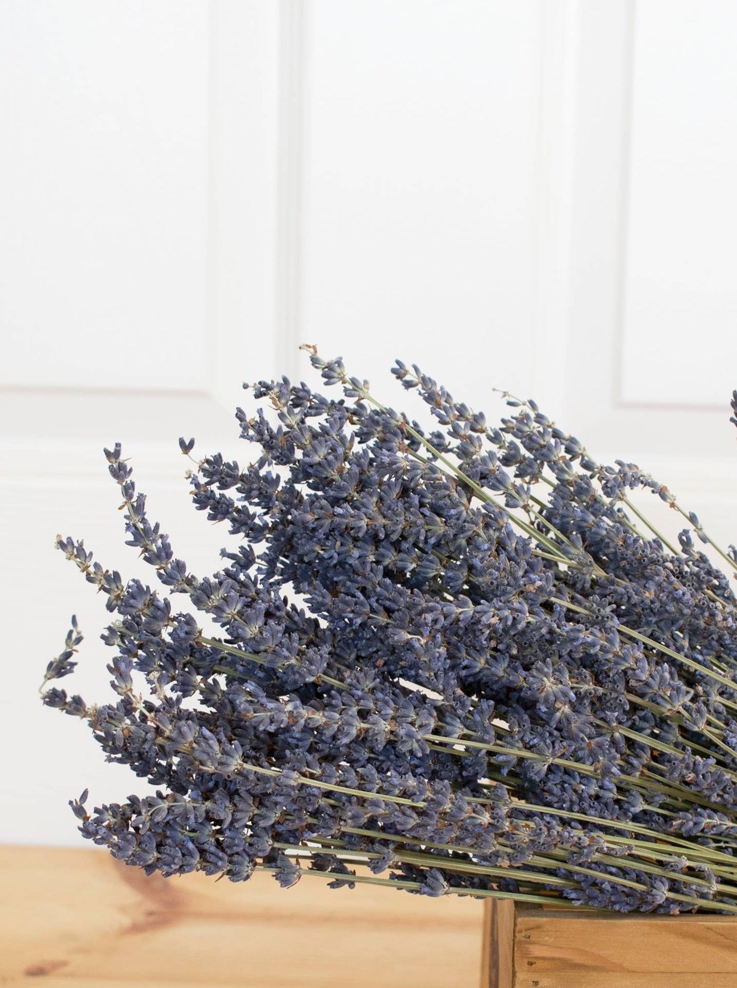 French Lavender Bundle