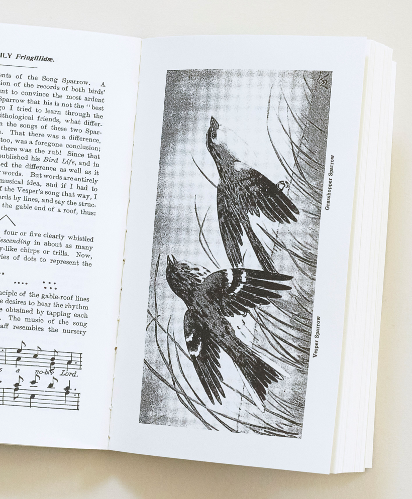 Field Book of Wild Birds and Their Music