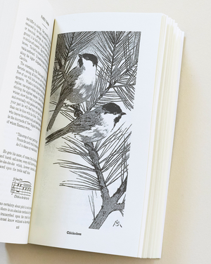 Field Book of Wild Birds and Their Music