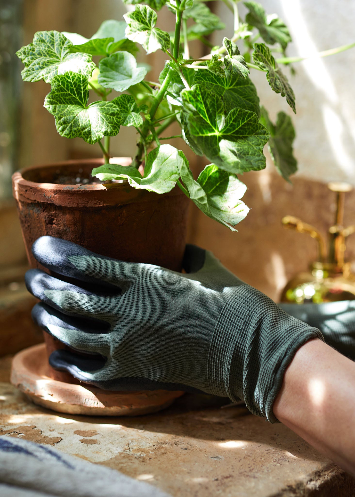 auntie pricker gardening gloves Stylish Garden Gloves