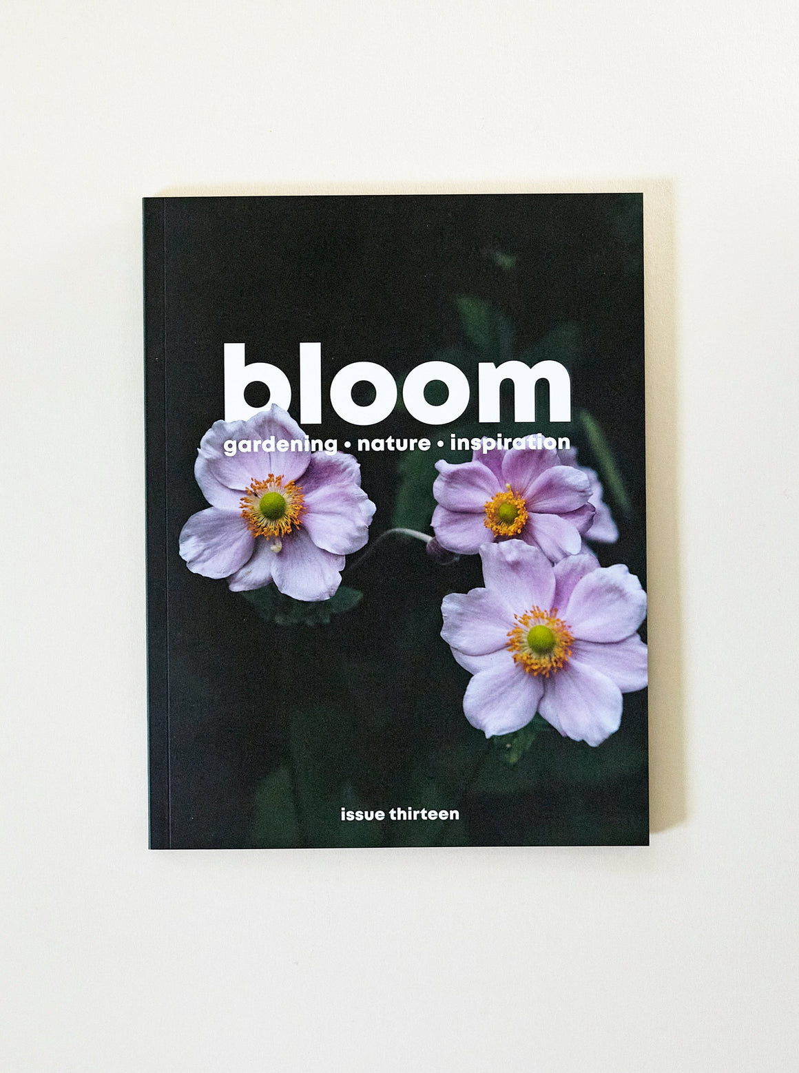 Bloom Issue 13, Autumn 2022