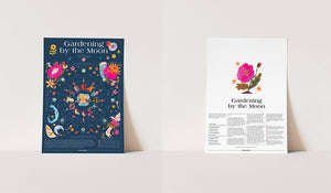 Blumenhaus Magazine